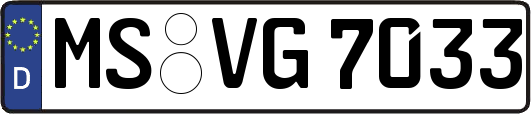 MS-VG7033