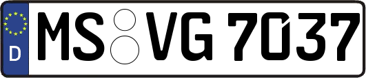 MS-VG7037