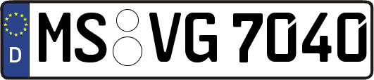MS-VG7040