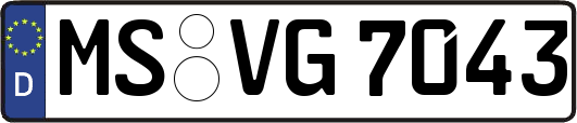 MS-VG7043