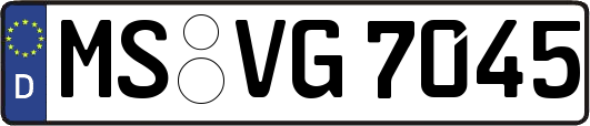 MS-VG7045