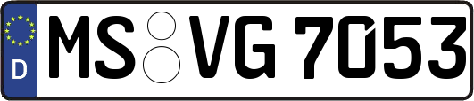 MS-VG7053