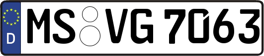 MS-VG7063