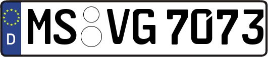 MS-VG7073