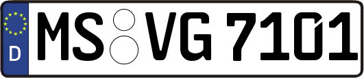 MS-VG7101