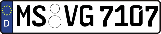MS-VG7107