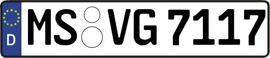 MS-VG7117