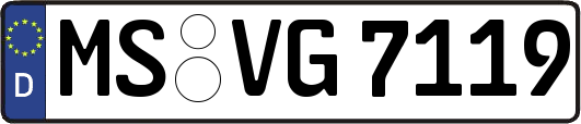 MS-VG7119