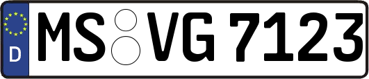 MS-VG7123