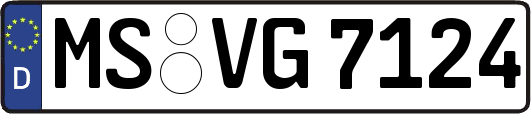 MS-VG7124