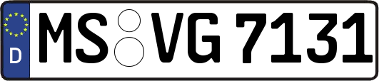 MS-VG7131