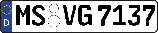 MS-VG7137