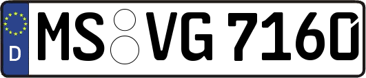 MS-VG7160