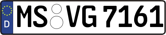 MS-VG7161