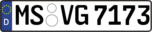 MS-VG7173