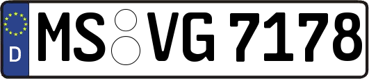 MS-VG7178