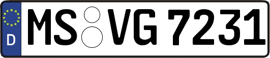 MS-VG7231