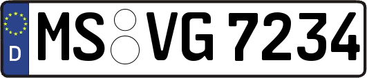 MS-VG7234