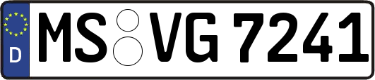 MS-VG7241