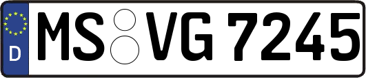 MS-VG7245
