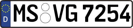 MS-VG7254