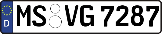 MS-VG7287