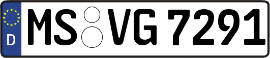 MS-VG7291
