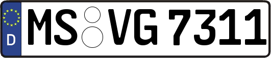 MS-VG7311
