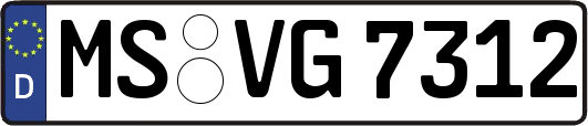 MS-VG7312