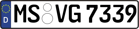 MS-VG7339