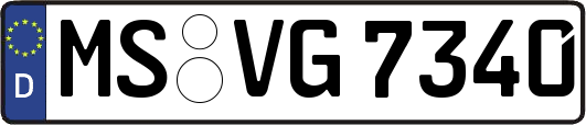 MS-VG7340