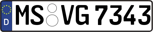 MS-VG7343