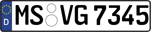 MS-VG7345