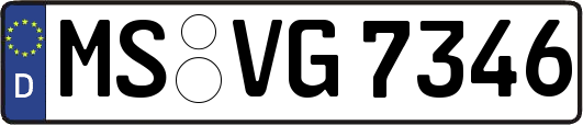 MS-VG7346