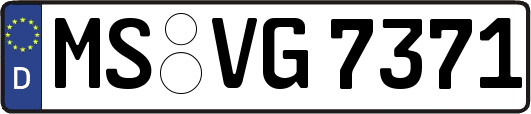 MS-VG7371