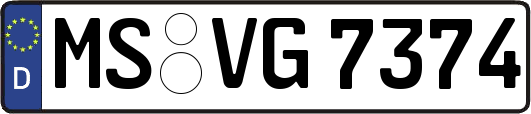 MS-VG7374