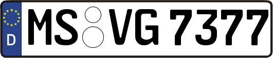 MS-VG7377