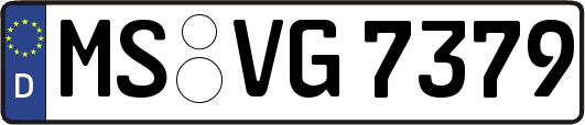 MS-VG7379