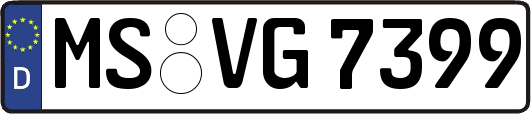 MS-VG7399