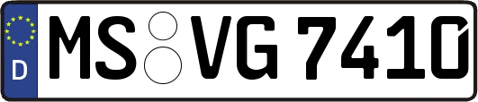 MS-VG7410