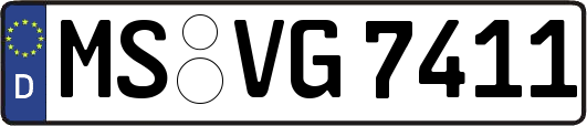 MS-VG7411