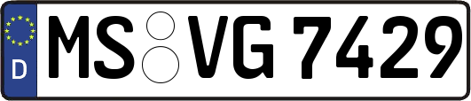 MS-VG7429