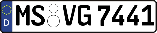 MS-VG7441