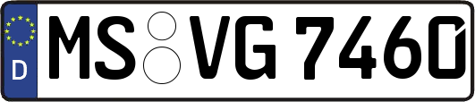 MS-VG7460