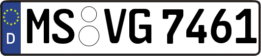 MS-VG7461