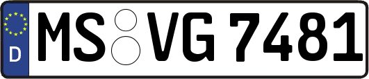 MS-VG7481