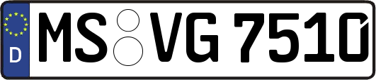 MS-VG7510