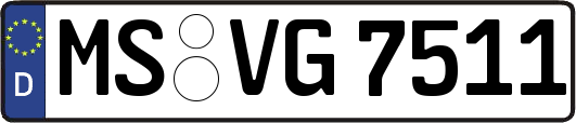 MS-VG7511
