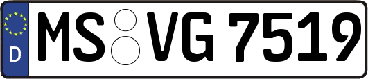 MS-VG7519
