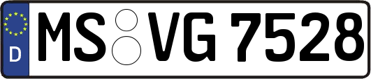MS-VG7528